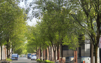 Sustainable Tree Care Practices for a Greener Tomorrow