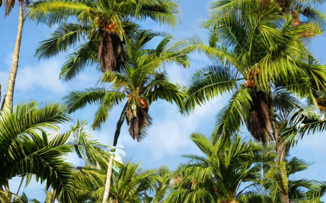 Advanced Techniques in Palm Tree Care and Maintenance