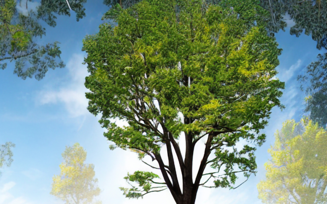 The Economic Benefits of Investing in Quality Tree Service