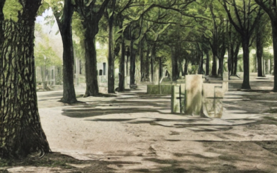Tree Services for Municipalities: Enhancing Public Spaces